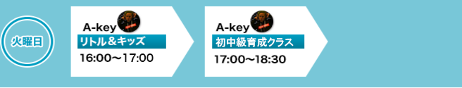 1コイン初回体験レッスン500円