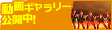 動画ギャラリー公開中!